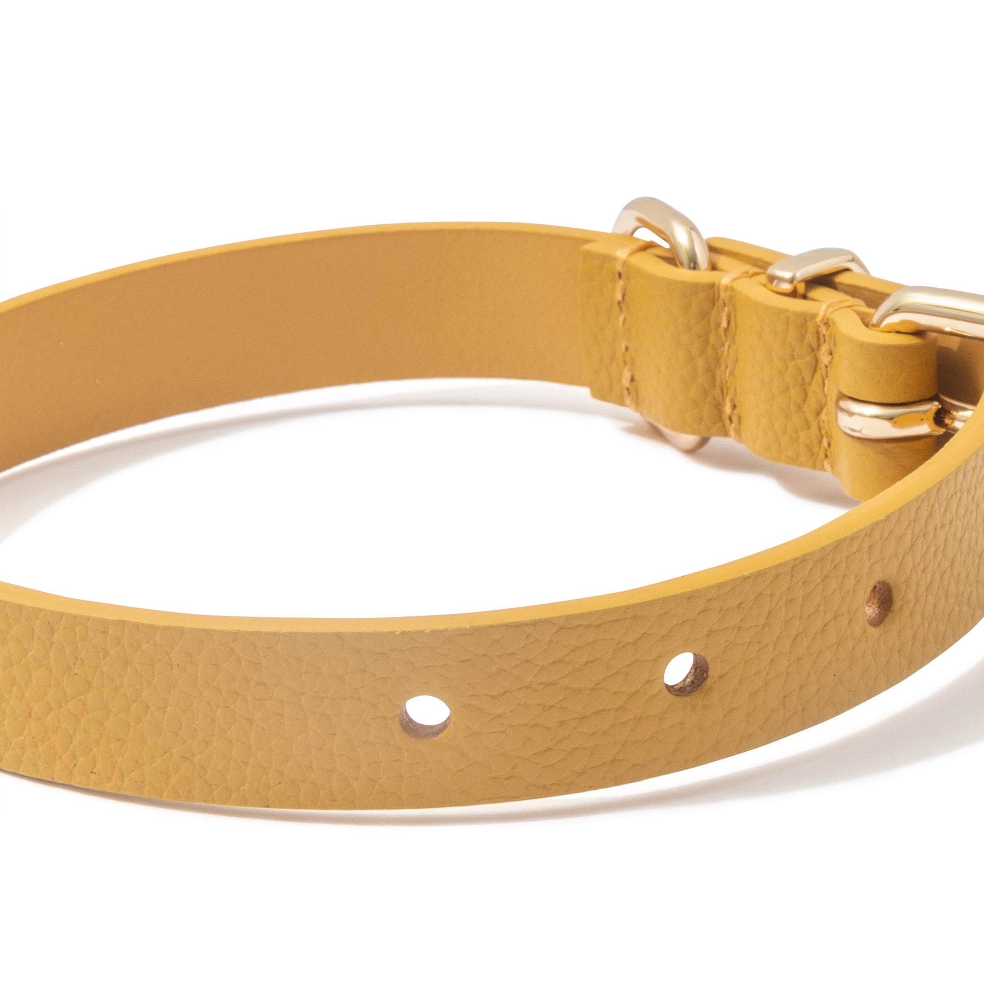 Luxe Leather Dog Collar - Yellow