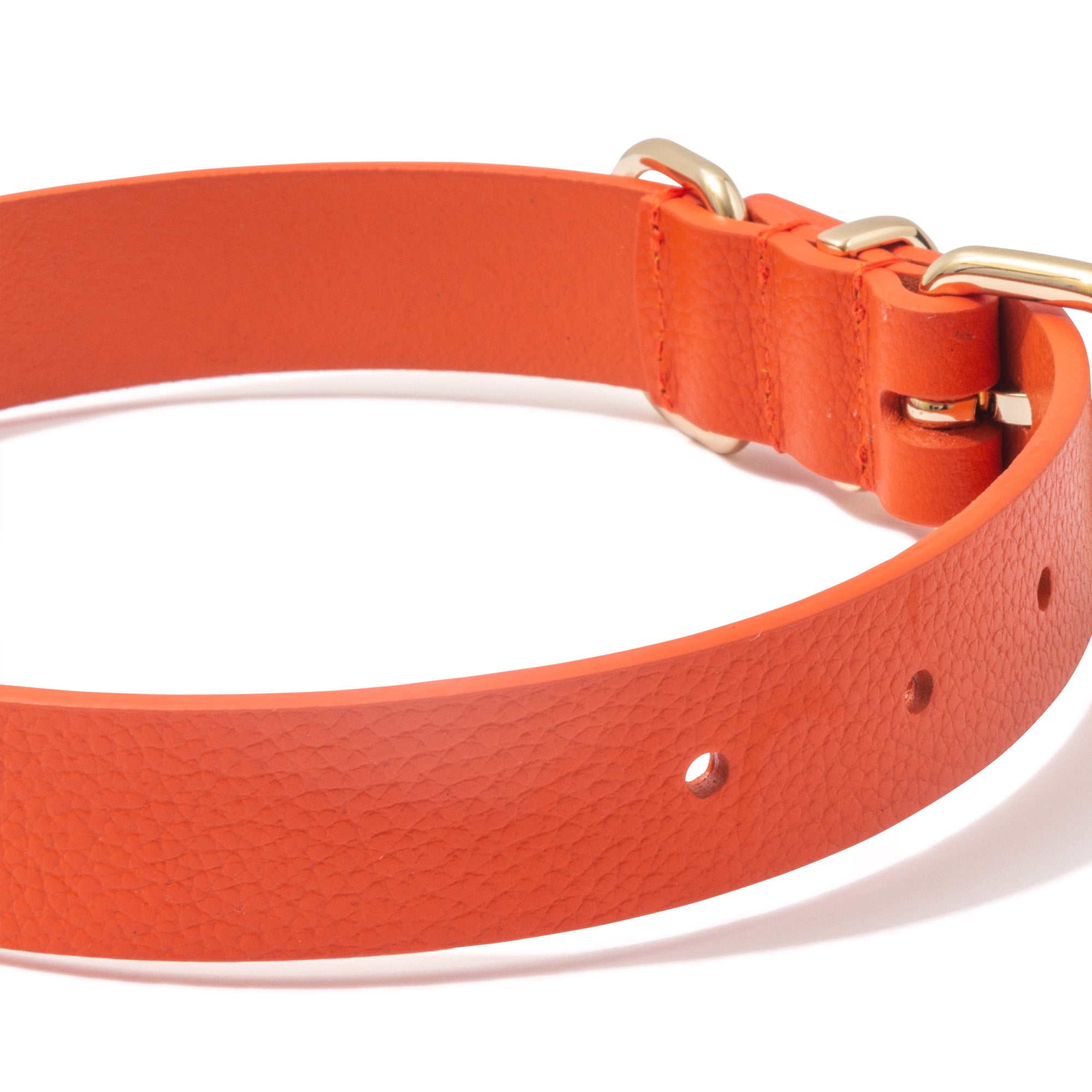 Luxe Leather Dog Collar - Orange
